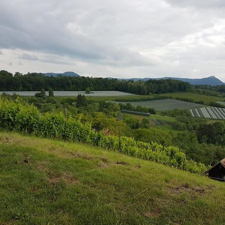 Ferienwohnung Burgblick Im Neuffener Tal Mit Sauna Und Wallbox Frickenhausen  Esterno foto