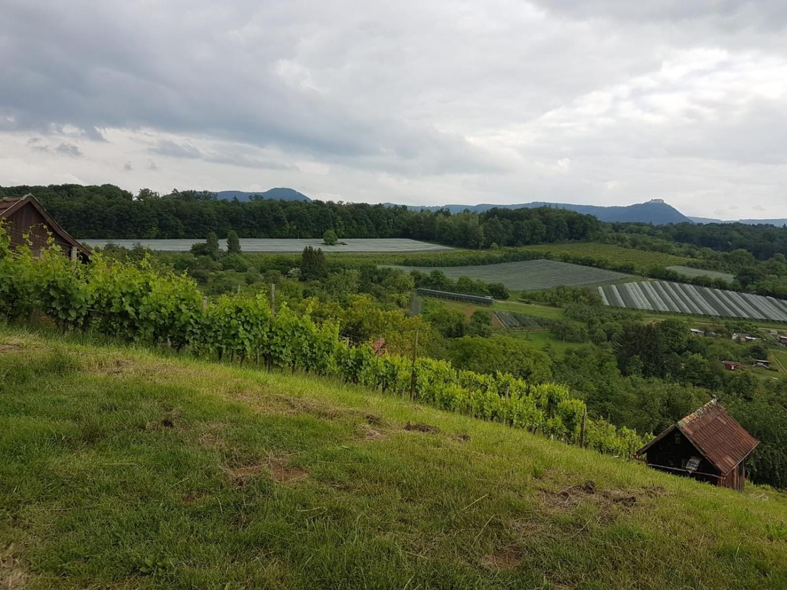 Ferienwohnung Burgblick Im Neuffener Tal Mit Sauna Und Wallbox Frickenhausen  Esterno foto
