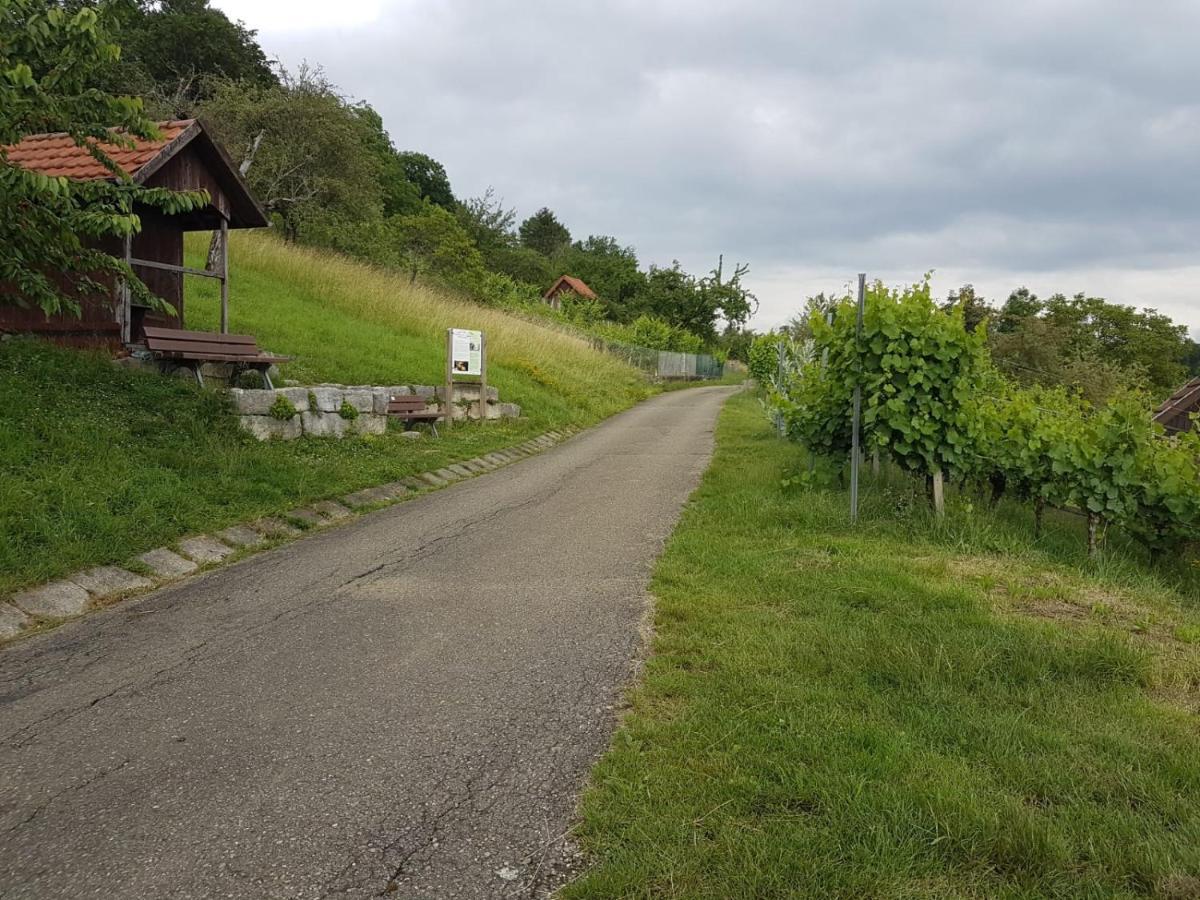 Ferienwohnung Burgblick Im Neuffener Tal Mit Sauna Und Wallbox Frickenhausen  Esterno foto